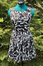 Express Fit And Flare Dress