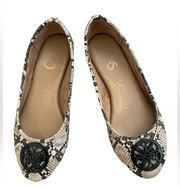 Circus by Sam Edelman | snake skin flats