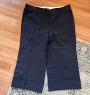 Size 8 Capri Pants