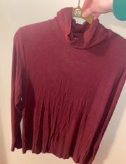 Maroon  Turtleneck Sweater XL