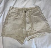 High Wasted Shorts