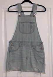 overall jumper dress