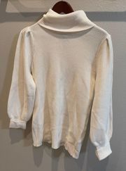 Turtlen Neck Ballon Sleeve Sweater