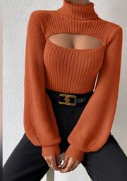 Orange Sweater