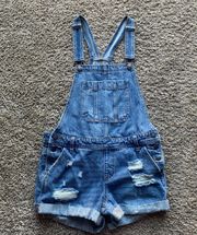 Denim Overalls