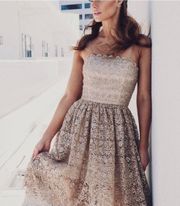 NWT  Embellished Lace Midi Alma Sequin Gold Dress Scallop Cocktail