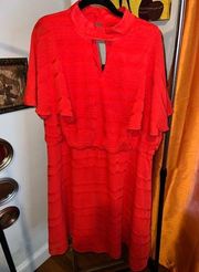 Lane Bryant Dress