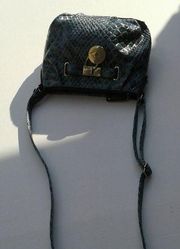 danielle nicole crossbody