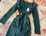 New Green Holiday Dress  Small