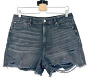 American Eagle  Womens Distressed High Rise 90s Boyfriend Denim Shorts Size 14