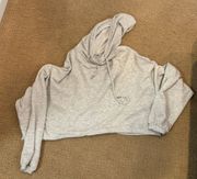 Gray Cropped Hoodie