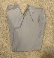 premium v2 joggers light grey size small