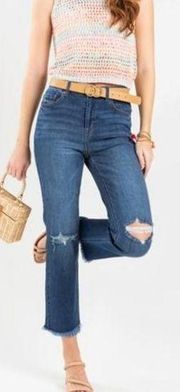 Harper Heritage HiRise Straight Ripped Knee Frayed Jean Size 25 See Description