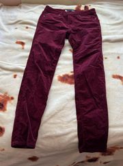 Burgundy Jeans/ Velvet Jeans