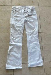 Joes Jeans Like New Sz 28 Mini Flare Cut