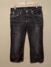 Big Star Jeans Sweet Crop Denim Blue Indigo Wash Whiskered Mid Rise 29