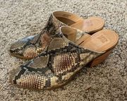 Frye & Co Jacy Perforated Taupe Snakeskin Mules Size 7.5