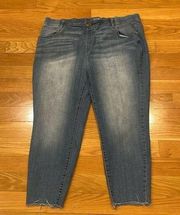 Terra & Sky women’s plus size  frayed hems pull on jeans size 2X (20W-22W).