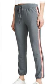 [David Lerner Drawstring Jogger with Side Stripes