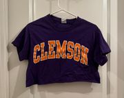 Clemson Crop Top