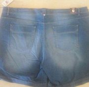 Women's 22W Distressed Stretch Shorts  70's esque