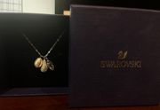 Swavorski Charm Necklace