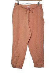 A New Day Womens Size Medium Orange Lightweight Pull On Pants Linen Rayon Blend