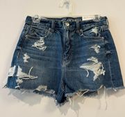 Outfitters Jean Shorts