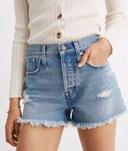 Madewell Relaxed Denim Shorts in Foxglen Wash