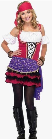 Juniors Crystal Ball Gypsy Costume