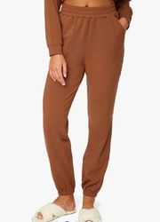 NWT WeWoreWhat Ultra Soft brushed back Terry Joggers Sweatpants size xs brown