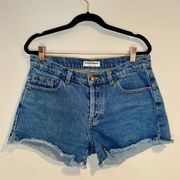 American Apparel Vintage Style 90s Made in USA High Rise Cutoff Shorts