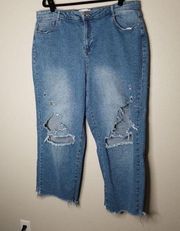 Eloquii distressed jeans 18