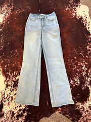 flying monkey Light Wash Flare Jeans