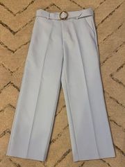 Crosby by Derek Lam Cropped Pant // Pale Blue // SZ 4 // NICE