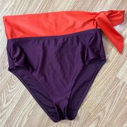 Zimmermann NWOT Rosa Color Block Bikini Bottom 4-6