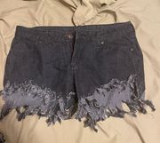 Jean Shorts Size 11