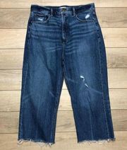 LOFT 90s High Waist Straight Leg Crop Denim Jeans Size 29