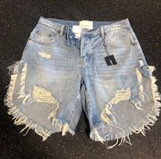 Free People One Teaspoon X  Shorts