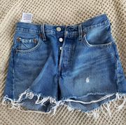 501 Shorts