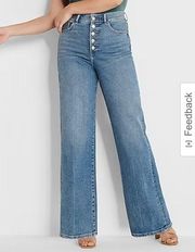 wide leg super high rise denim multiple button up jeans 10L