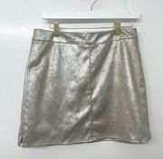 Silver Mini Skirt