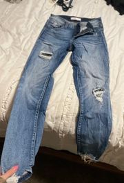 Willow & Root Jeans