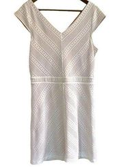 Dress barn white lace fit, and flare dress women 14 petite