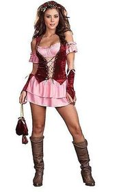 Pleasure Faire Wench Halloween Costume