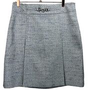 Ann Taylor Pleated A-Line Skirt 12