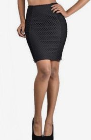 Mesh Pencil Skirt