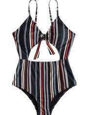 Pinstripe One Piece Swimsuit