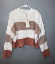 Cropped Striped Sweatshirt
