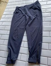 Albion Joggers Size Medium